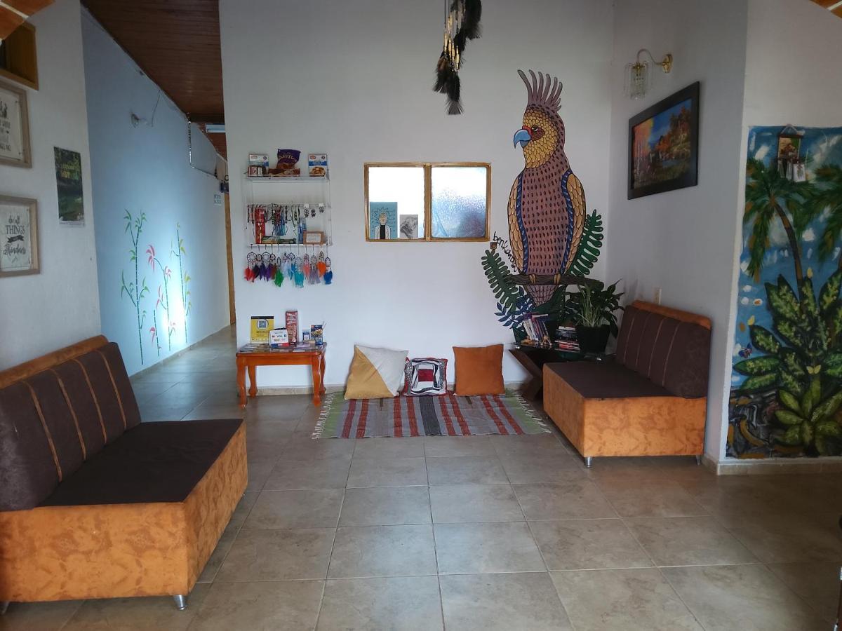 Artesanos Y Turistas Apartment Guatapé Exterior foto
